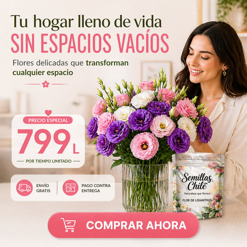 🌸✨Semillas Premium de Lisianthus
